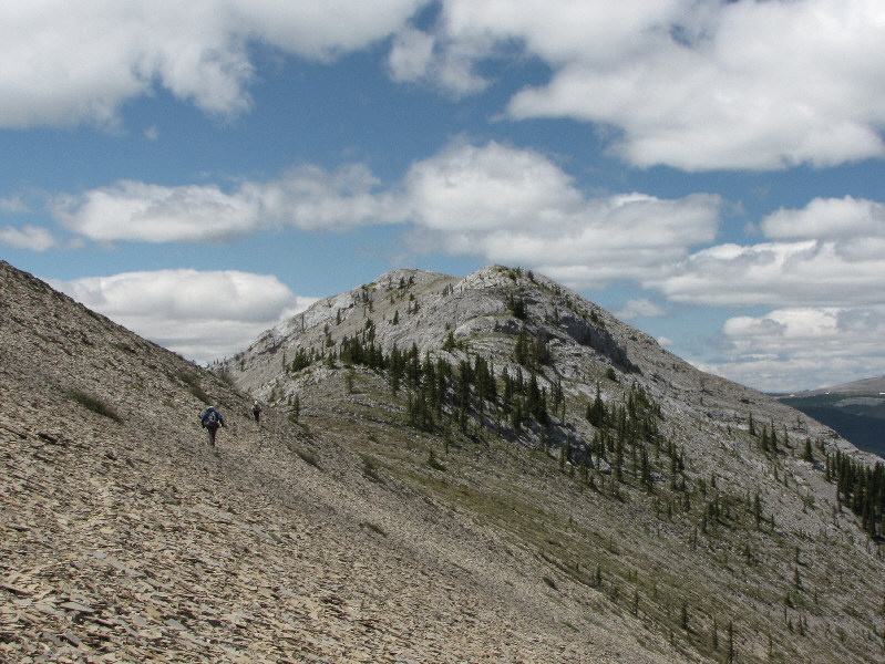 Ya Ha Tinda, here we come-a!