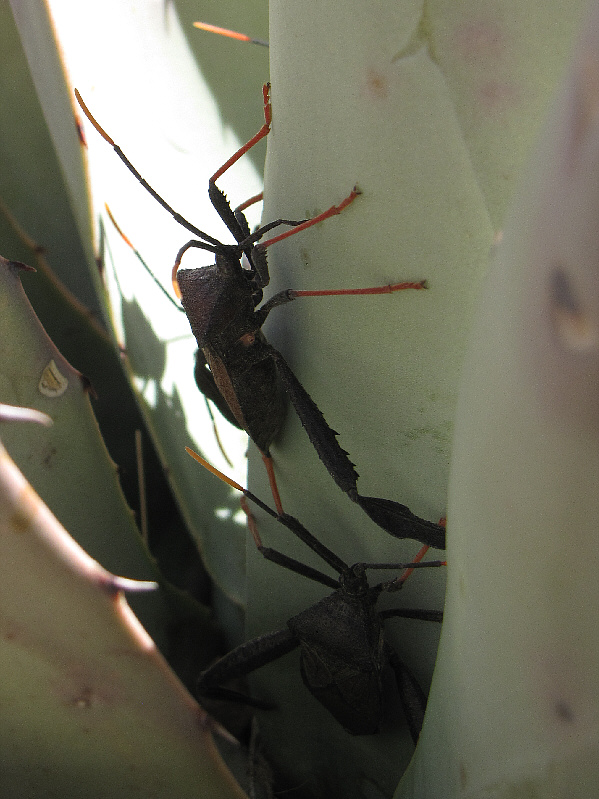 Good way to stay cool!