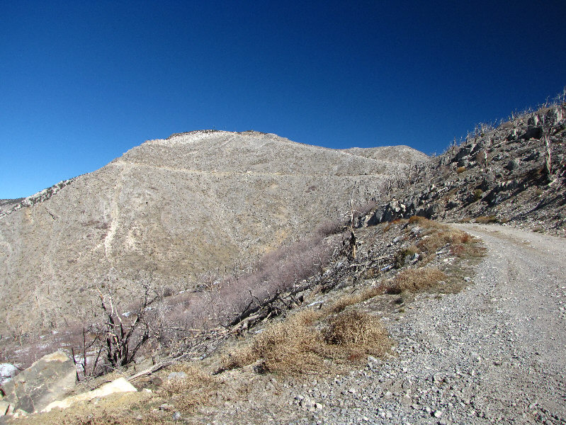 I took the one less traveled by, and that has made all the difference.