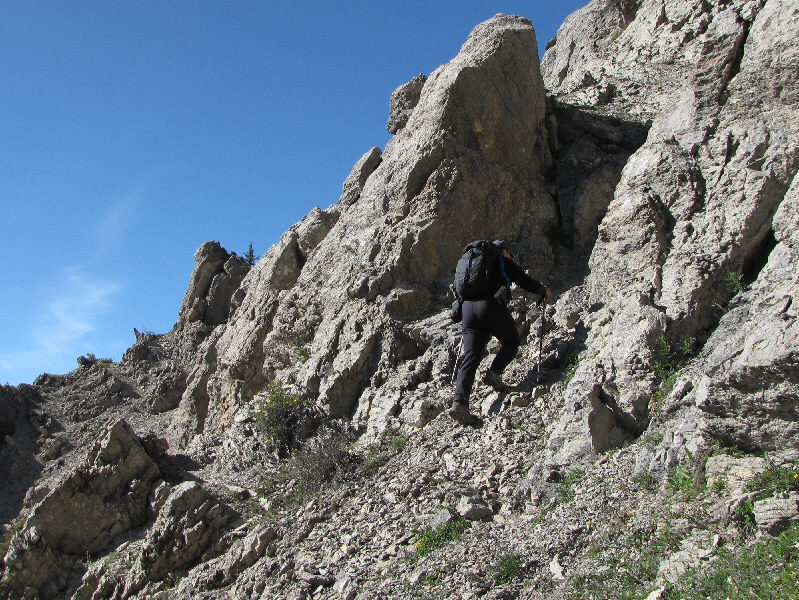 Sure beats bushwhacking!