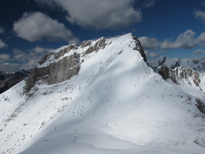 Did anyone bring Krazy Karpets?