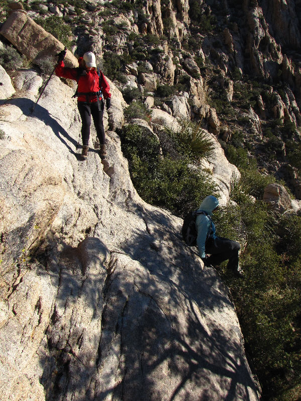 Try not to land on a cactus, Dinah!
