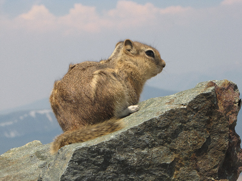 Don't you just wanna take one home??