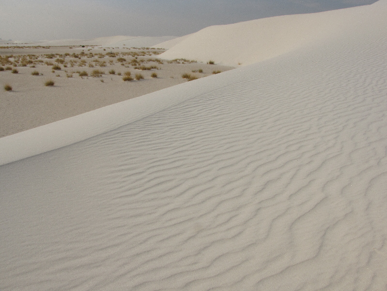 Lots of annoying little gnats were flying about though.