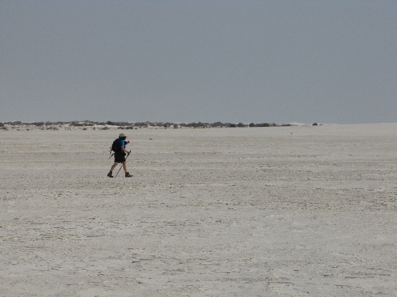 So where did all the fish go?