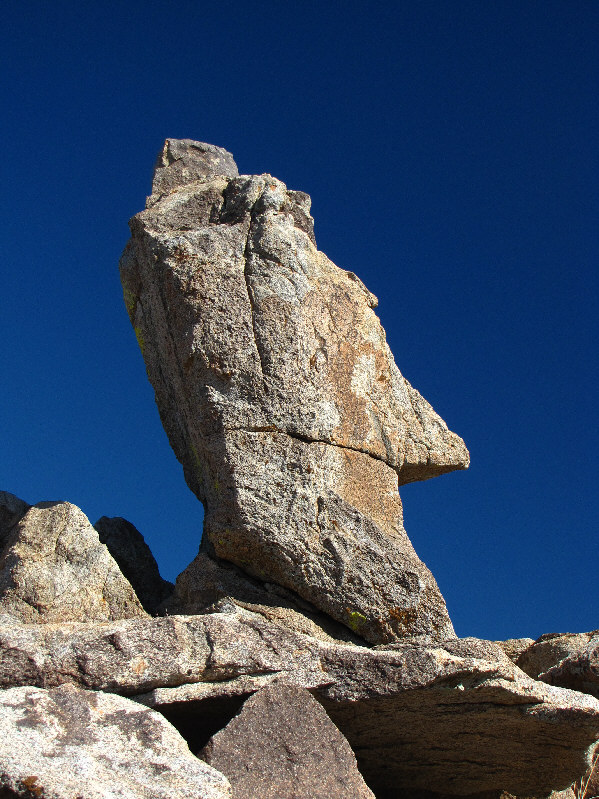 Even the aliens loved Vegas!