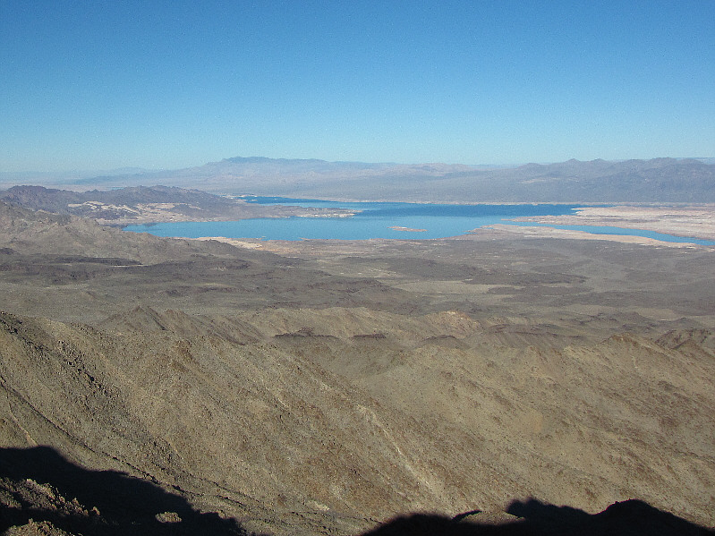 And probably the only places you'll find any virgins in this neck of the woods!