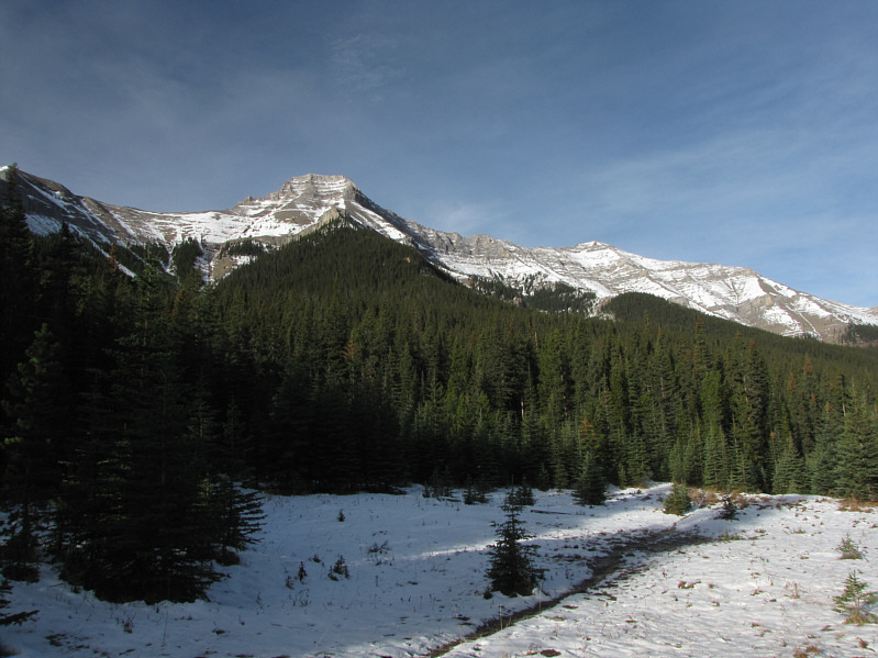 The trail begins to drop down to Bluerock Creek after this clearing.
