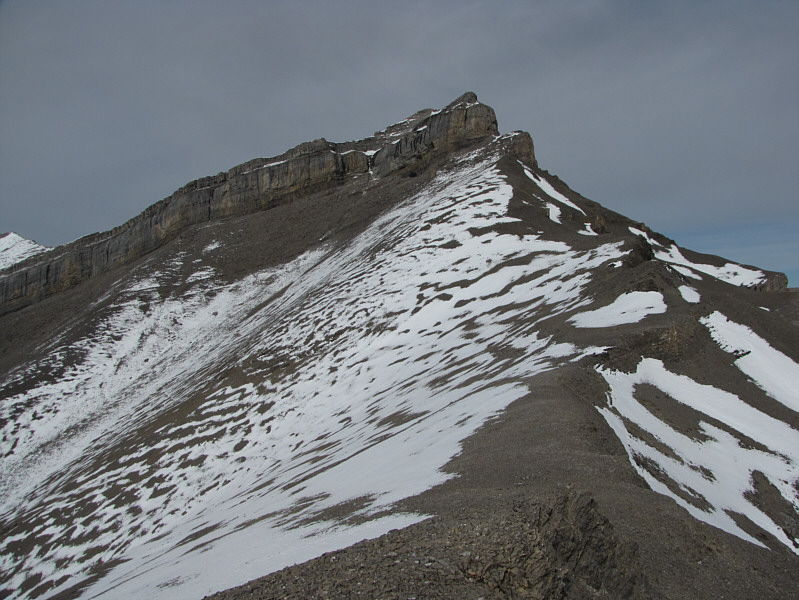 Even the gully didn't look very appealing from this vantage point.
