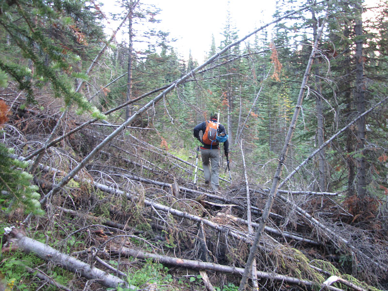 Someone needs to bring a chain-saw or a match...