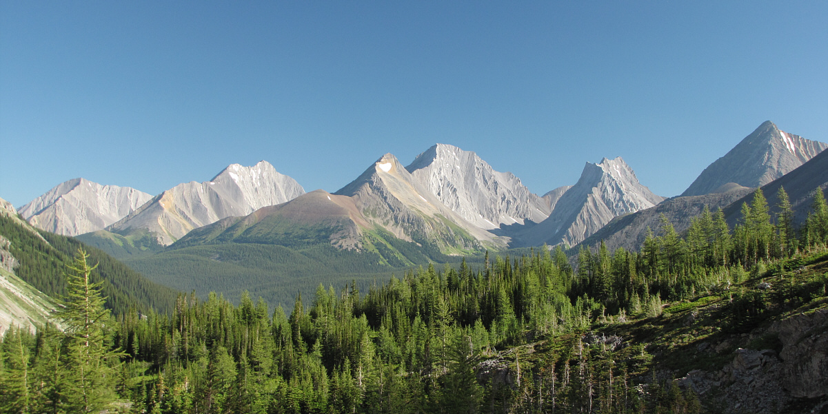 Some of the best of the Kane scrambles.