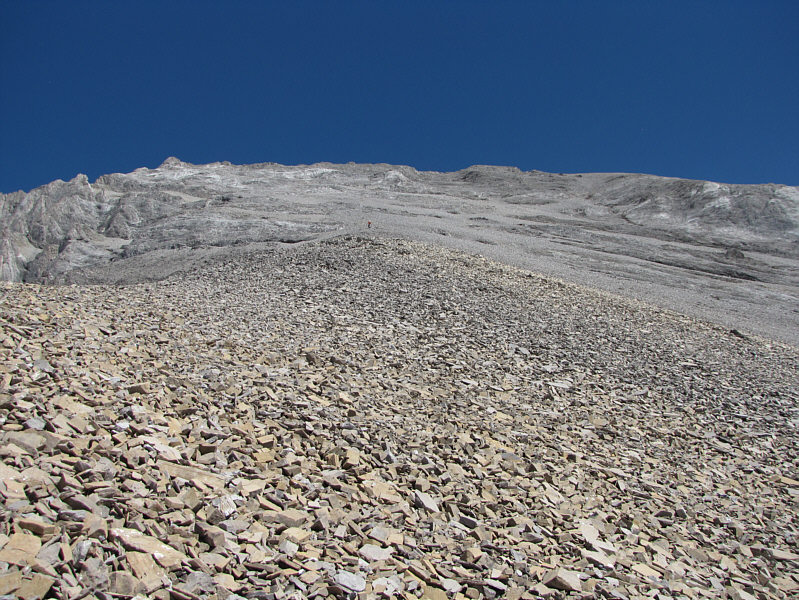 My God, my God, why have you forsaken me?