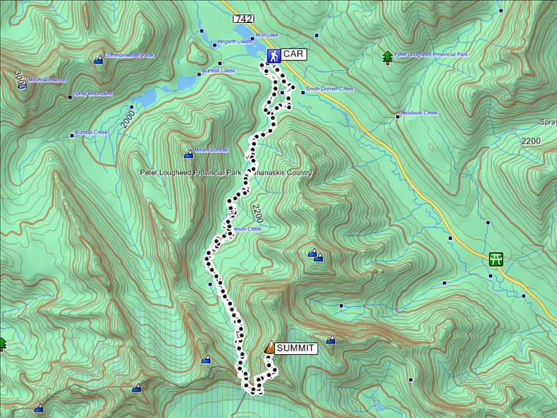 Hiking French Creek feels like you're gaining elevation both ways!
