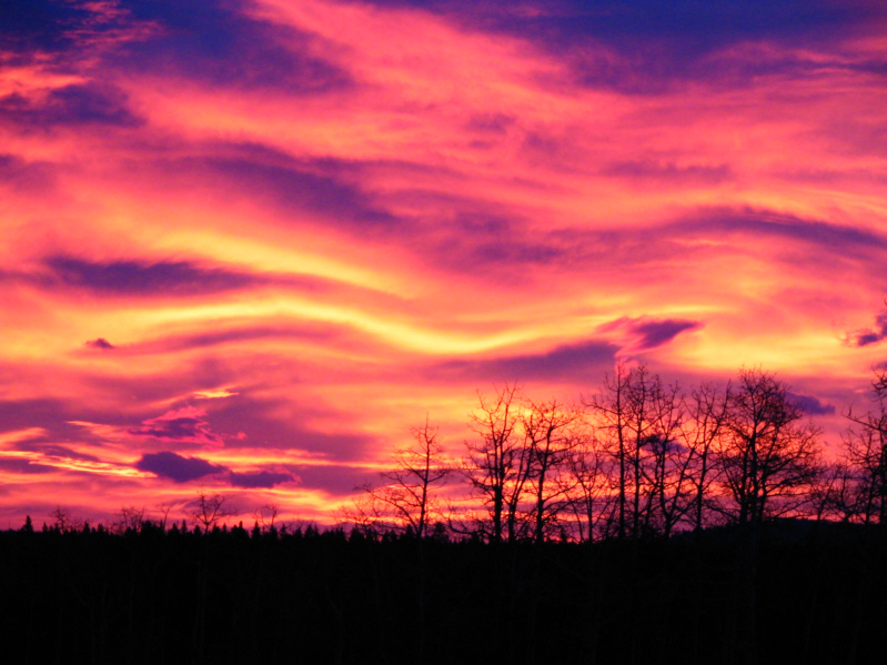 We should have just called it a day after these photos!