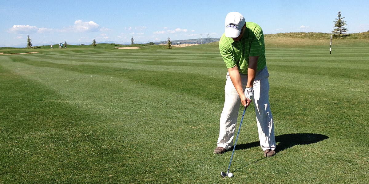 Uh...the green is over there behind your right shoulder, Sonny...