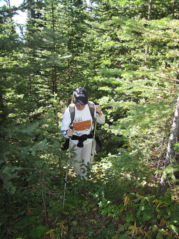 There was a road here??