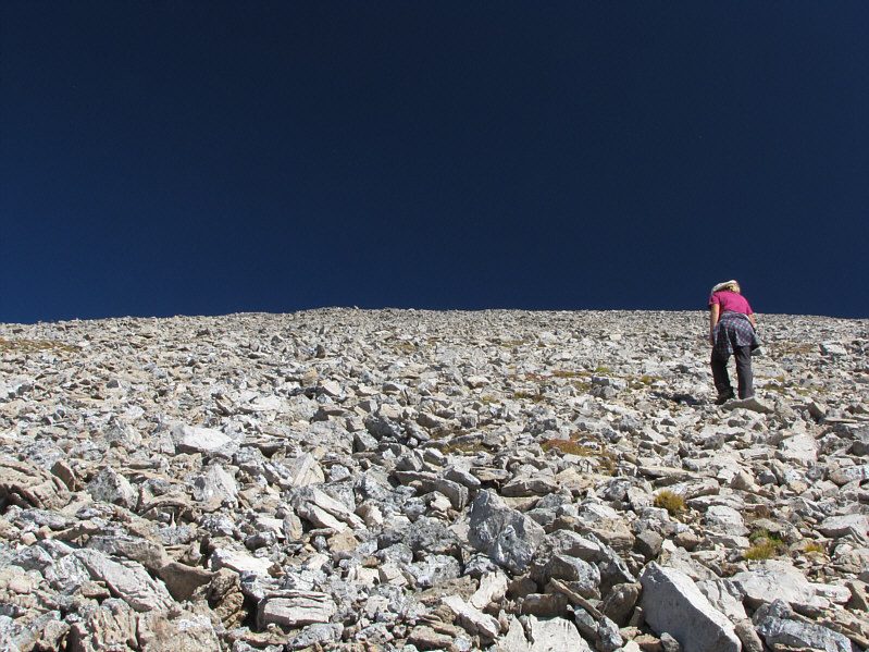 Kelly was really motoring upwards though!