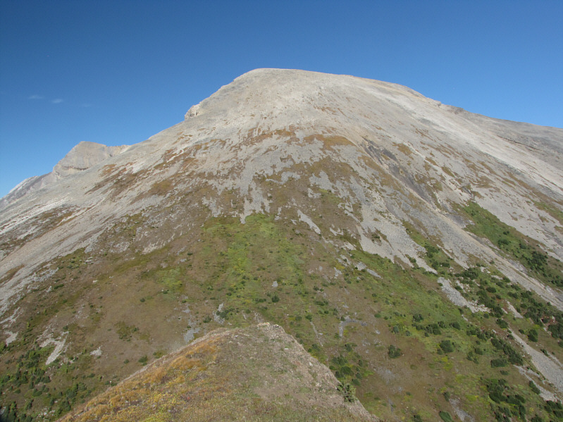 Still looks like an uninspiring slog!