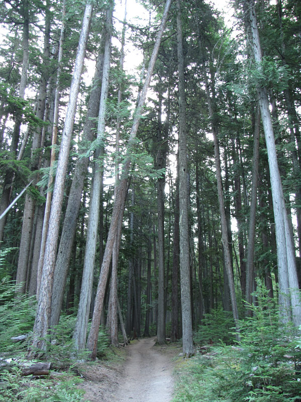 You'll appreciate the shade later in the day on the way back!