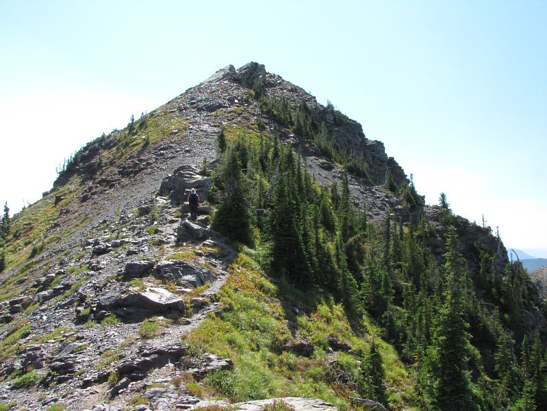 No route-finding required!