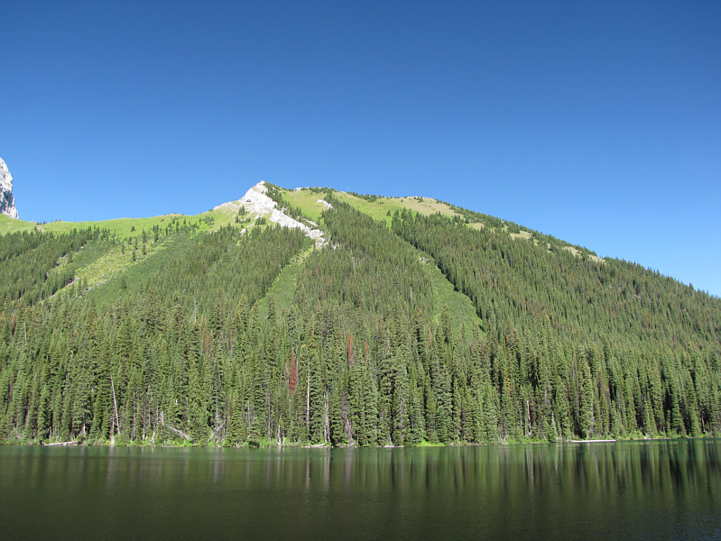 Wonder if anyone has tried a shortcut up those avalanche chutes...