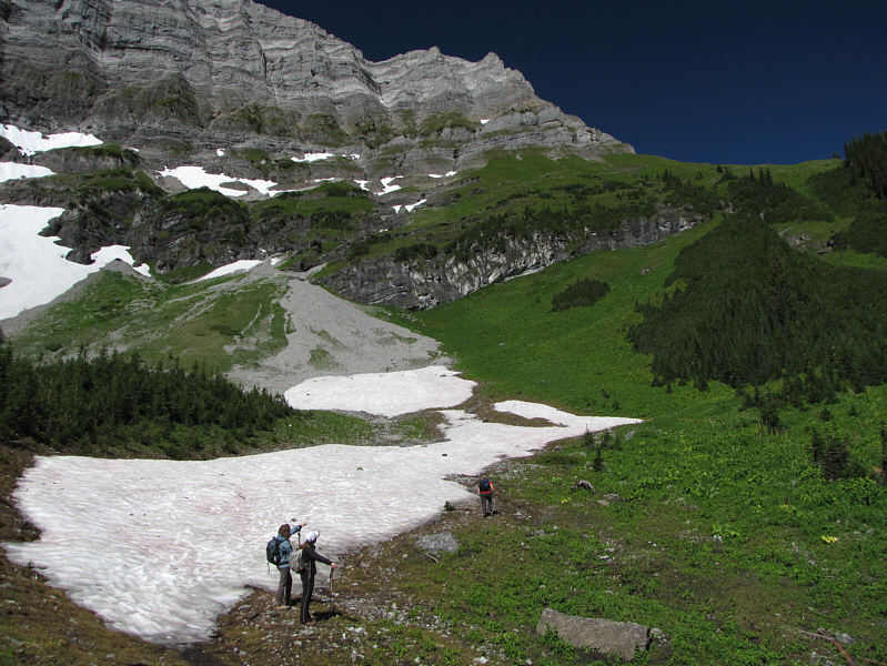 This is a good place to catch your breath before the steep grunt ahead!