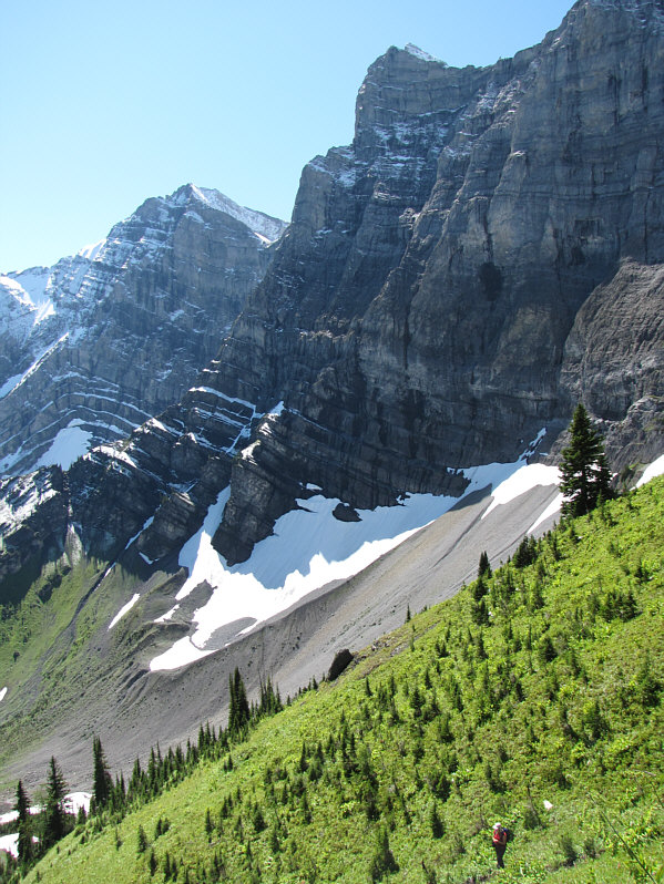 Most of the hard work is done at this point!