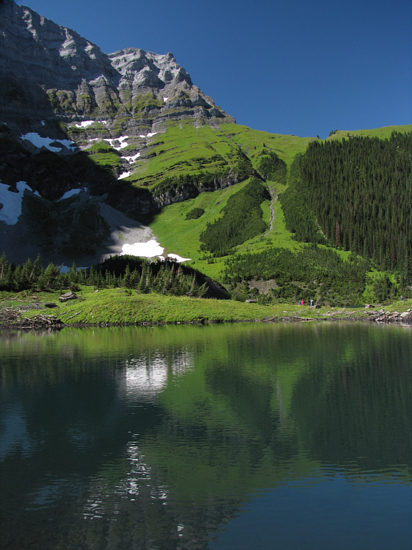 That green vegetation looks so innocuous from a distance...