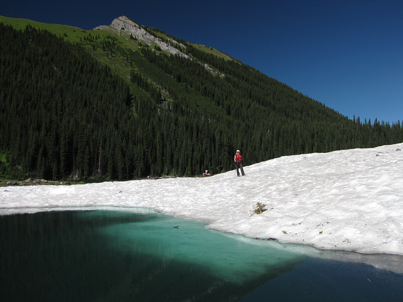 Judging by the ice in the water, it's possible that this is a remnant glacier that persists year-round.
