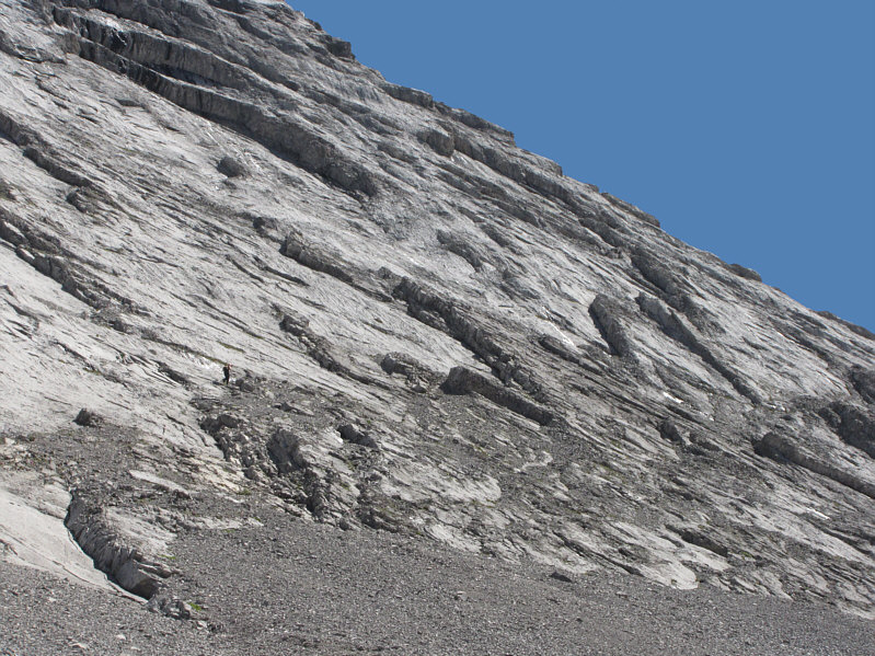 Glad you know where you're going, Vern!