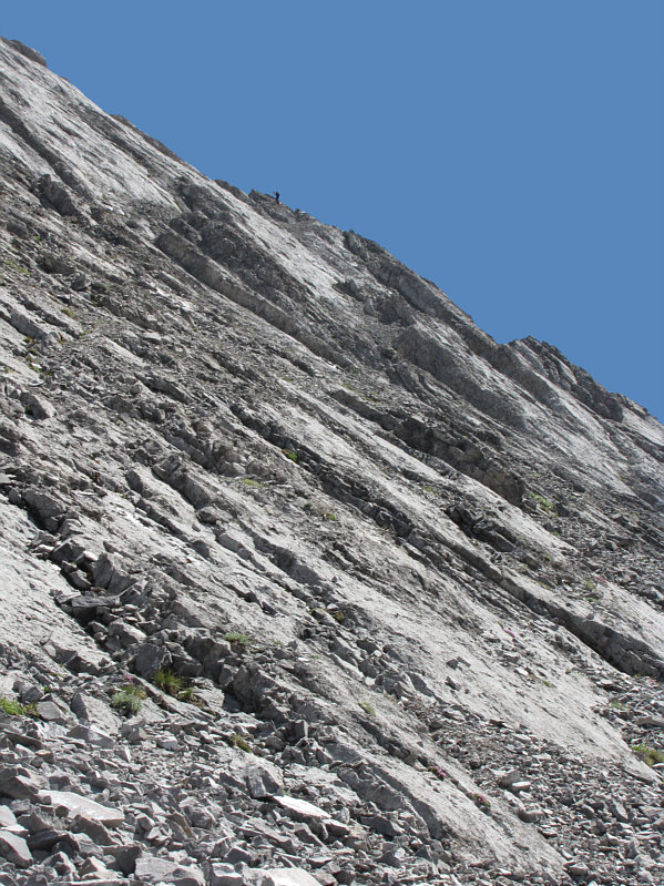 Throw me down a rope, Vern?