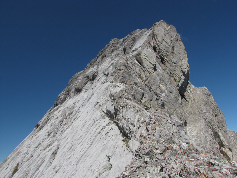 This would have been a lot more fun if I wasn't so damn tired!