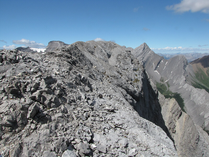 Just a few more easy steps...