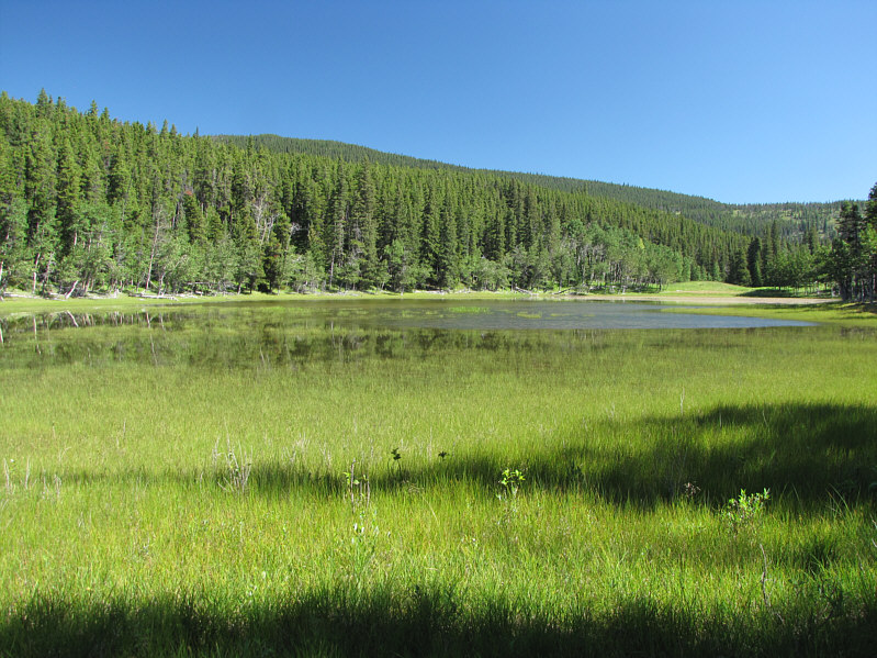 Hard to tell where the water starts and ends...