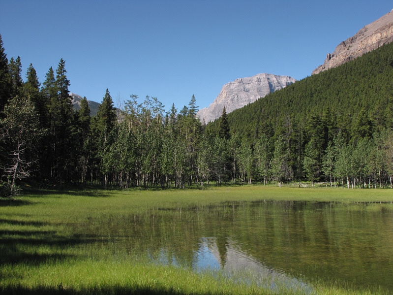 Very tranquil and relaxing...