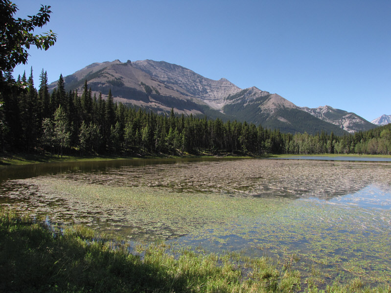 According to Gillean Daffern, Shunga-la-she apparently means "mountain white man shit on"!