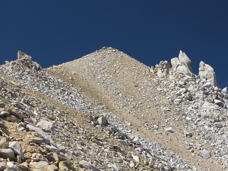 Don't worry; there's still a trail here!