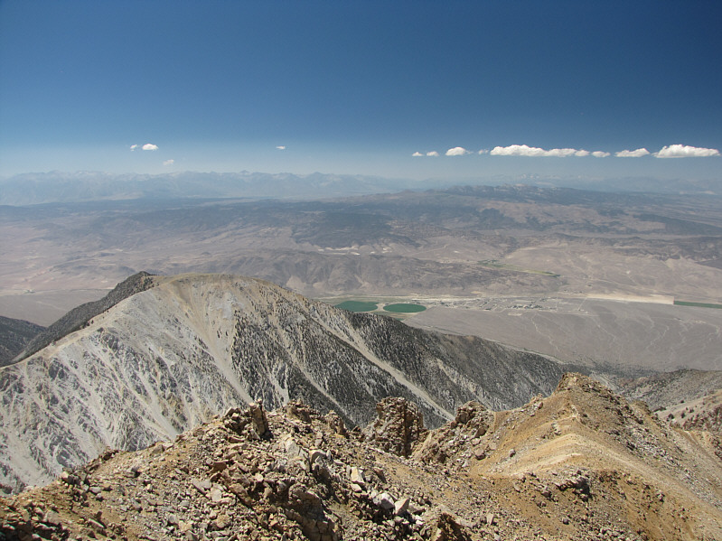 Those two green patches look a bit out of place!