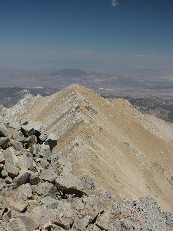 Don't bother trying to sidehill bash on the way back--it ain't worth it!