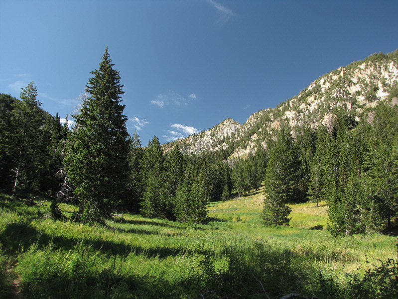 It's a gentle though steady climb going up this way.