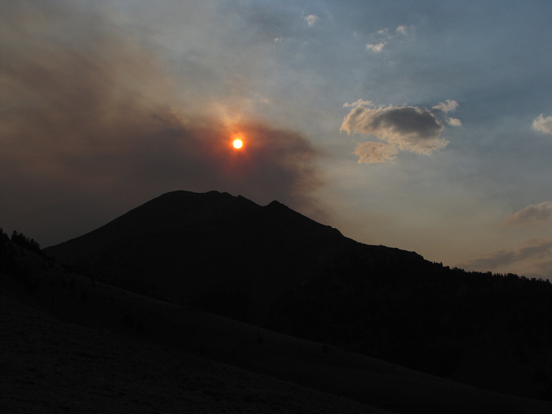 I guess I shouldn't have tossed that lit cigarette to the wind...