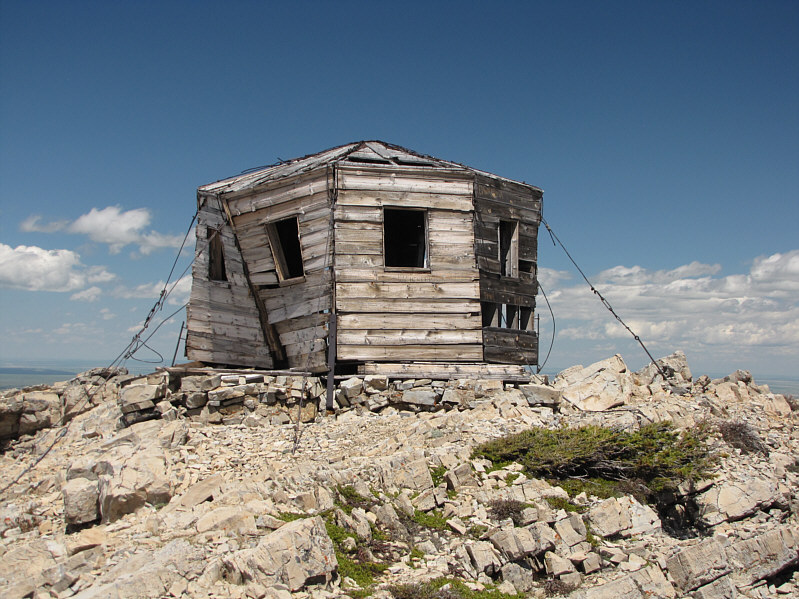 I think Mike Holmes should do a show here...