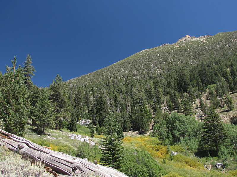 Not much else to see, so keep climbing!