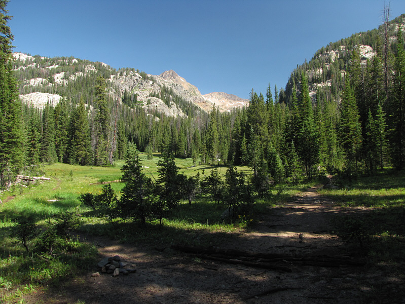 Pick your poison, I guess!