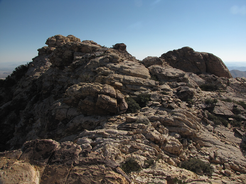 Can you spot Bob in this photo?