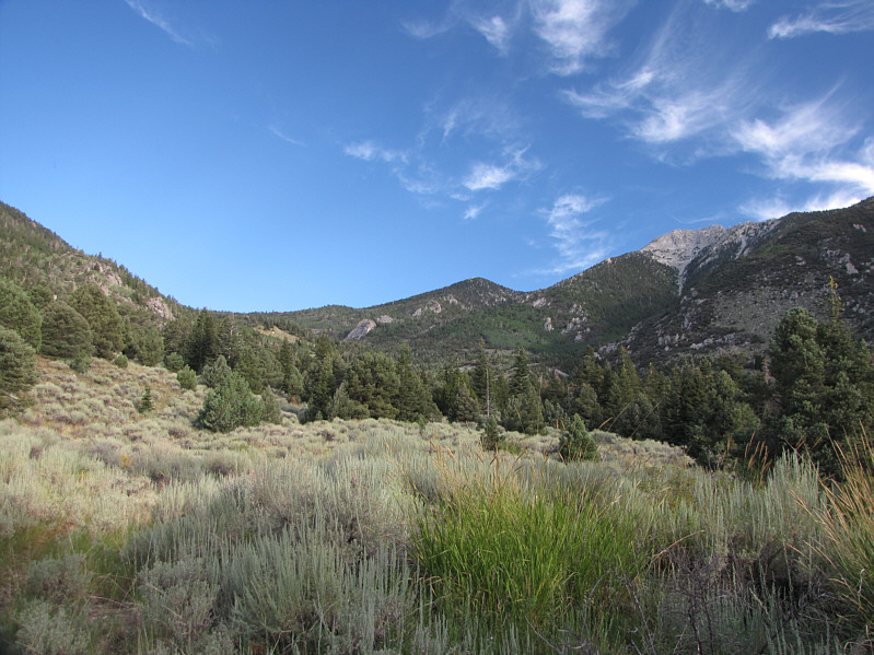 Yeah, we still have a long way to go!