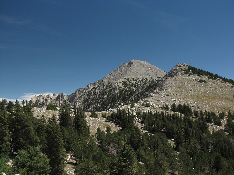 It's not really worth climbing over the bump.