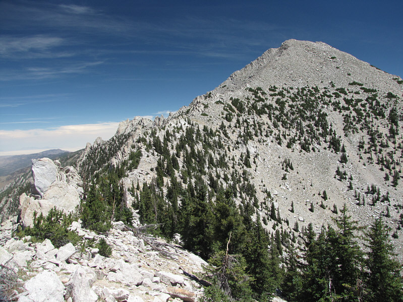 I contoured a little too high here. The trail is a bit lower down.