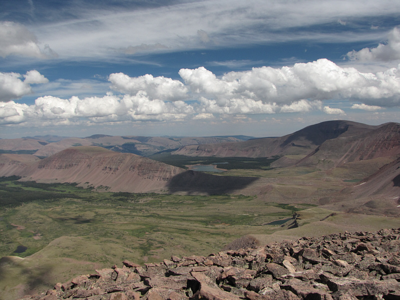 Might be worth exploring in the future...