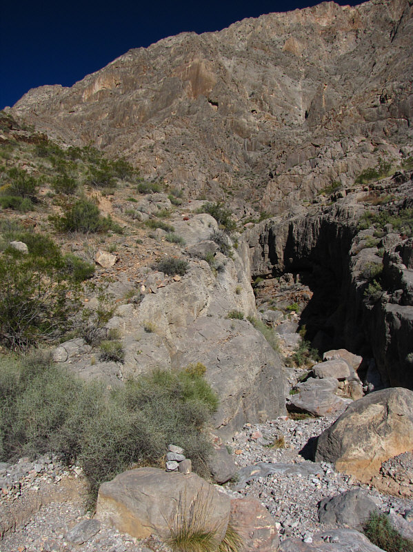 There's a bit of a trail here, but it's very short-lived.